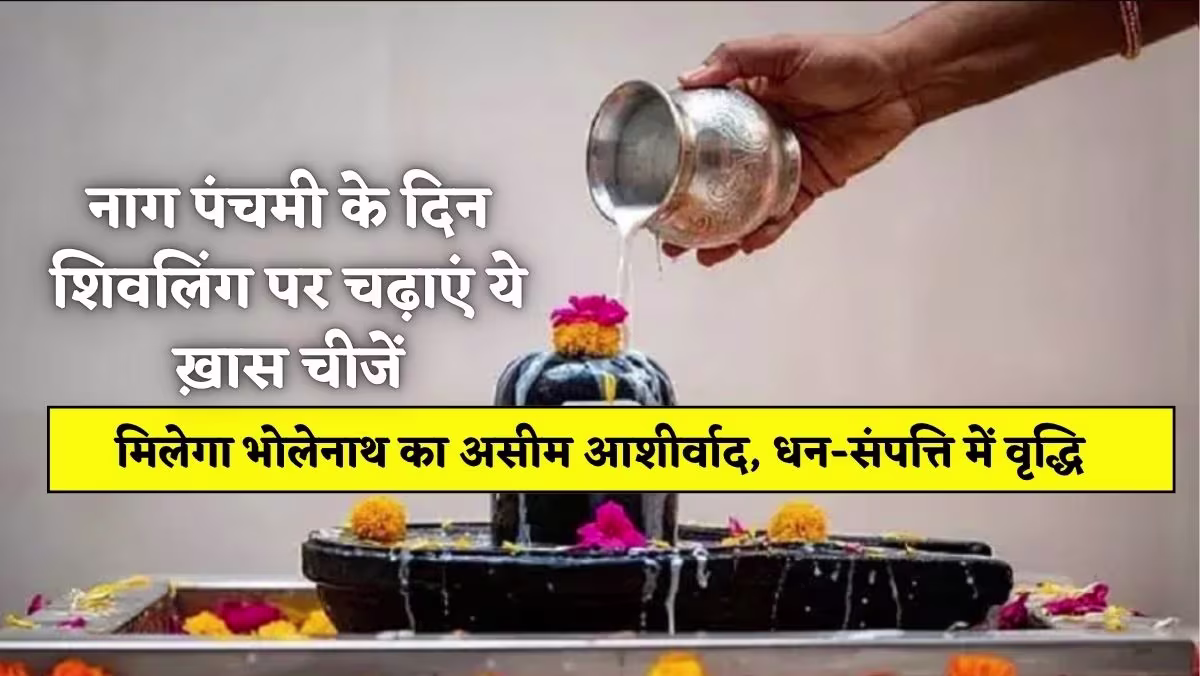 Nag Panchami 2025 नाग पंचमी के दिन शिवलिंग पर चढ़ाएं ये ख़ास चीजें, मिलेगा भोलेनाथ का असीम आशीर्वाद, धन-संपत्ति में वृद्धि 1 Nag Panchami 2025
